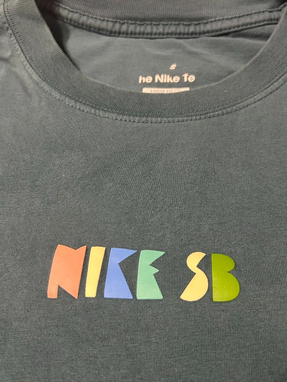 Nike SB Loose Fit Desert Graphic Tee slate grey, size L